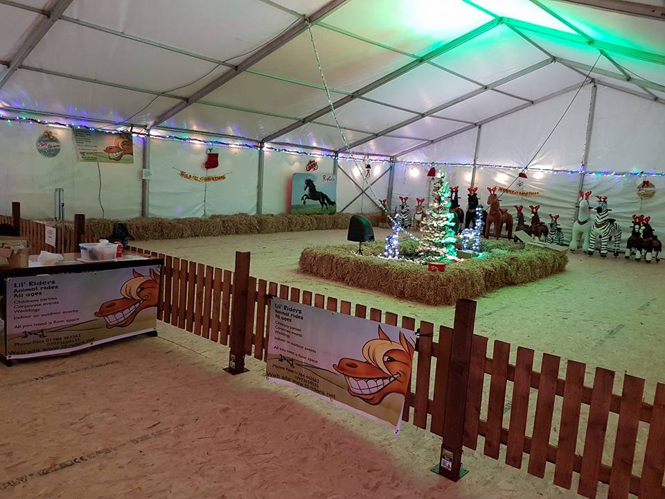 little riders pony cycle